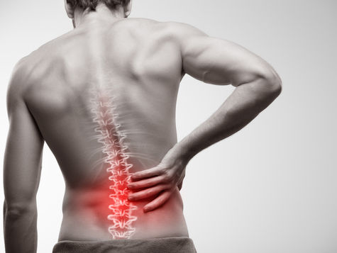 BioXcellerator Medical and Scientific team says stem cells offer new hope to spinal cord injuries