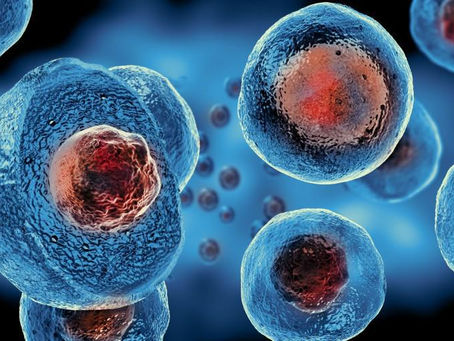 Chuck Liddell and Kevin Nash turn to stem cell therapy to treat chronic back and neck pain
