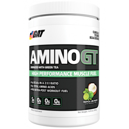 AMINO GT