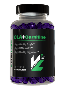 CLA + Carnitine 90 Caps.