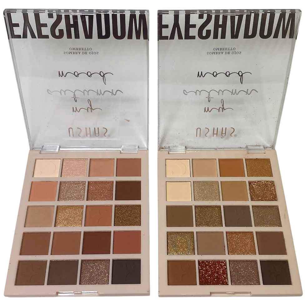 PALETA DE SOMBRAS 20 TONOS CUADRADO USHAS ES4228-2