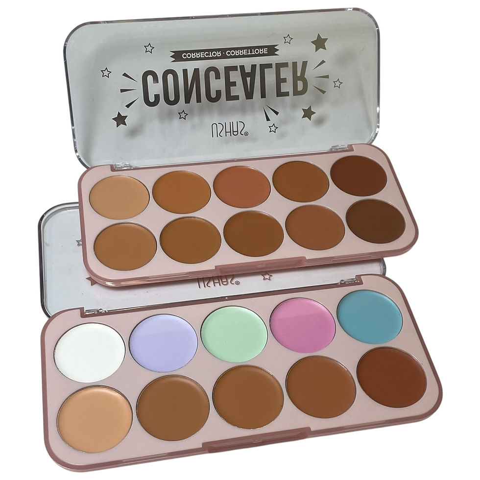 PALETA DE CORRECTORES 10 TONOS USHAS ES4342A