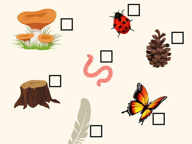 Scavenger Hunt for Spring