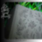 GELEXAIDA "diet coke"