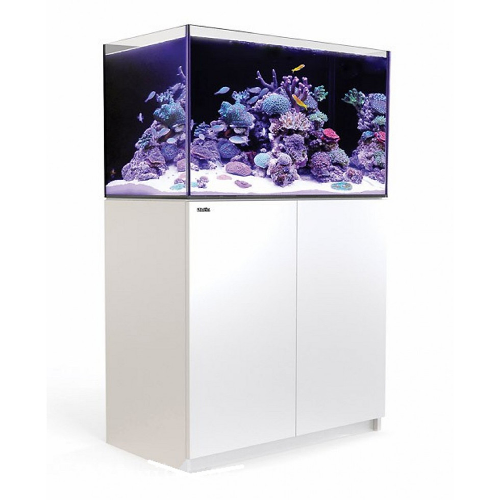 Miniatura: Acuario POSEIDON 65 GALONES