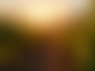 Uncover Luxury Wine Tasting Experience in Napa
