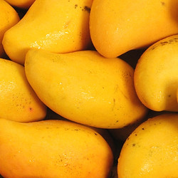 mangoes-7221111.jpg