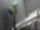 services shot blasting