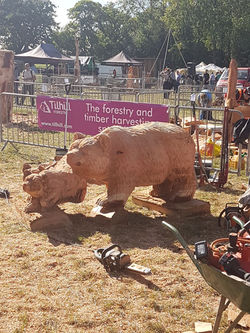 WhatsApp Image 2017-08-07 at 19.35.48