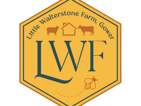 Little Walterstone Farm - Christmas 🤶 