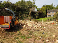 WhatsApp Image 2017-08-07 at 19.36.06