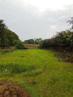 WhatsApp Image 2017-08-07 at 19.36.03