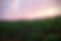 IMG20240221181010-EFFECTS.jpg