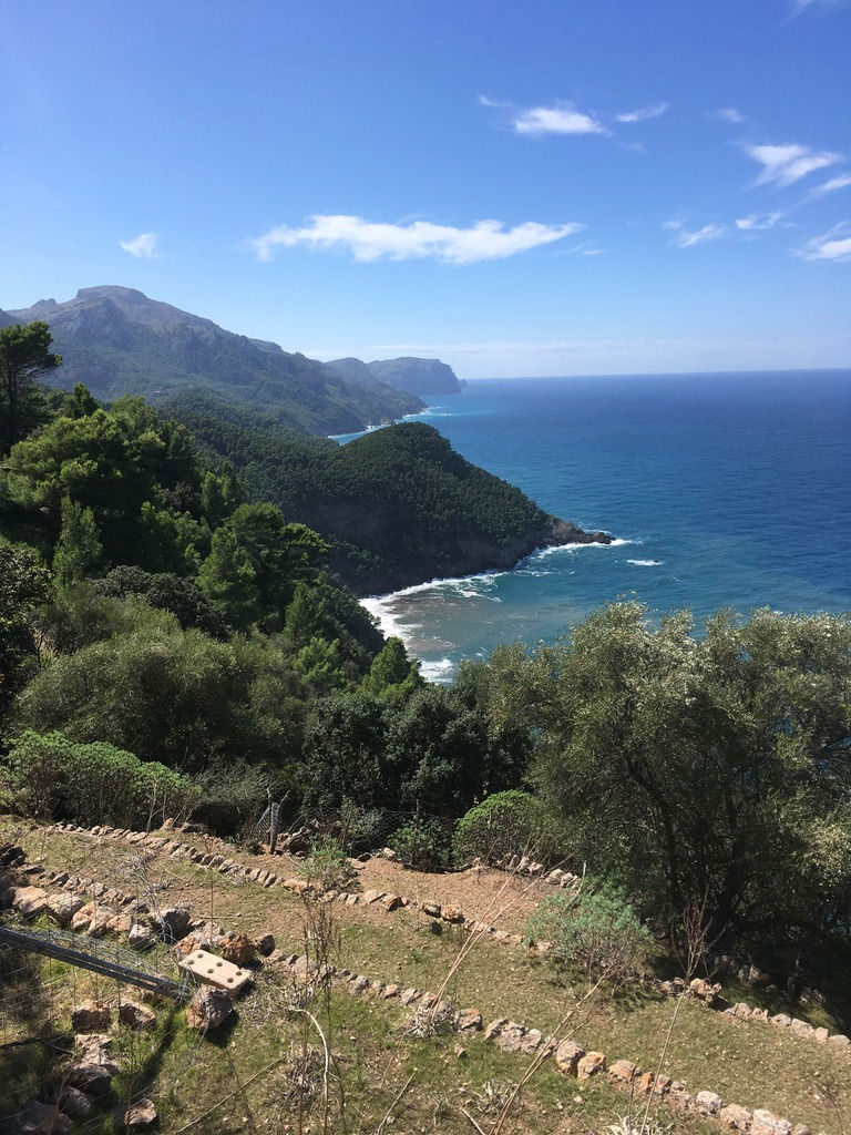 Meerblick und Felsenküste. Vom Bergdorf Estellencs zum Terrassendorf Banyalbufar