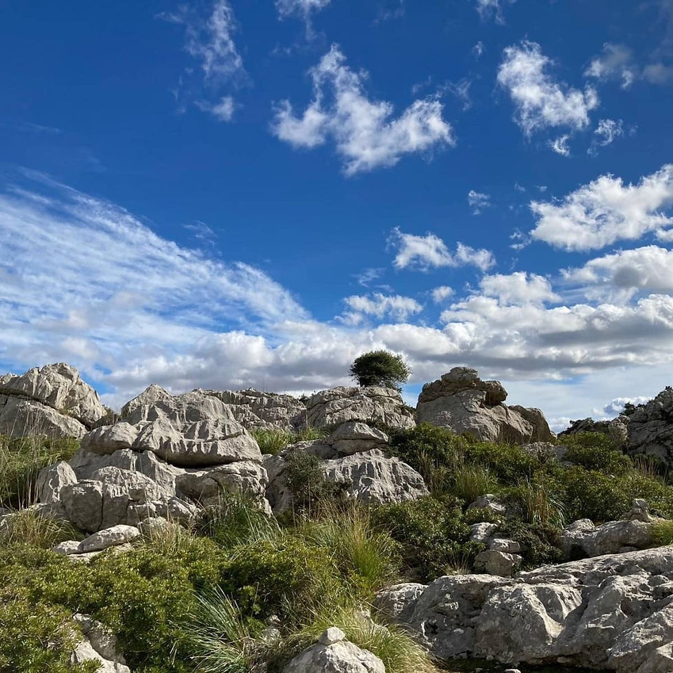 Carácter alpino. Vistas de altura desde el Puig Tomir