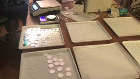 TempleCoin vs US-Dollar