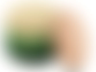 Wobble Cushions for Engaged Learning!