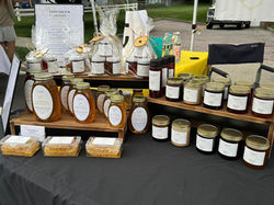 481039812_122243489732027403_1649538174622309478_n