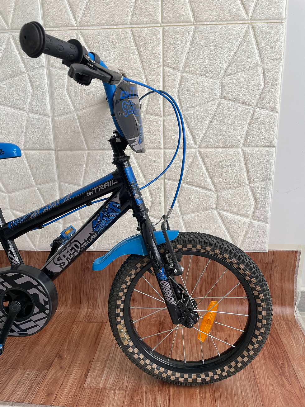 Miniatura: Bicicleta Ontrail
