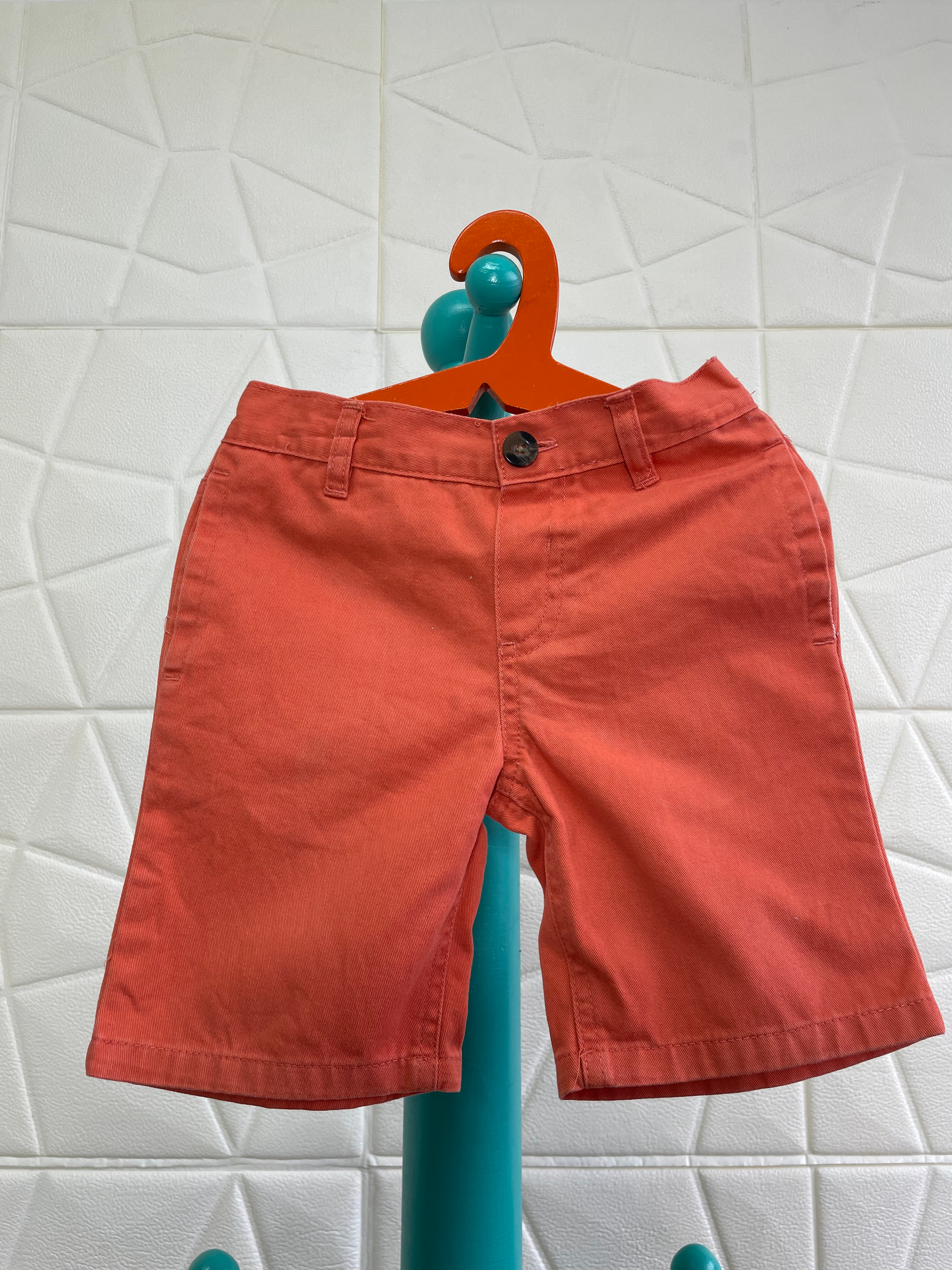 Bermuda American Hawk