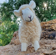 20221221_171207_optimized_edited_edited.