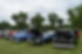 car show 3.jpg