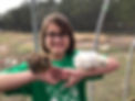 4-H chicken 2.jpg