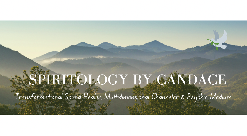 spiritology logo 2026 2.png