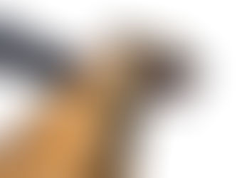 Part Two: Protect yourself from a loose or aggressive dog
