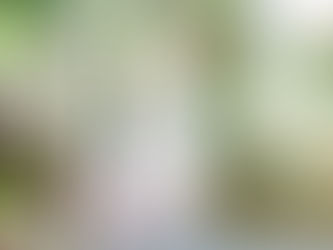 The Basilica of Saint Mary + Hemingway House | Lisa + Alex