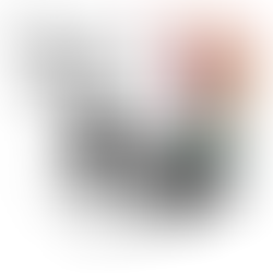 Comedian Munawar Faruqui dropped from Gurgaon Comedy Festival: BJP files fresh complaint