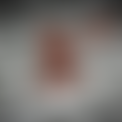 According to reports, Israeli Cyber firm NSO Group is planning to sell its most controversial spywar