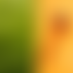 Ethiopian Crisis: Human Rights Council Launches International Human Rights Investigation