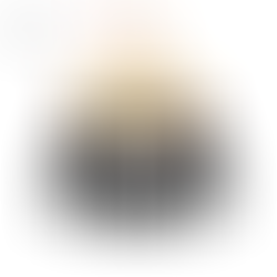 Switzerland to permit same sex marriage after the success of "Marriage for All" campaign