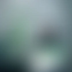 Analysis of Forest Conservation Laws of India