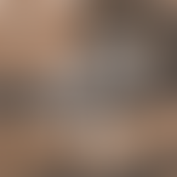 The Bombay High Court rules there is no legal bar in granting Anticipatory Bail to an accused even