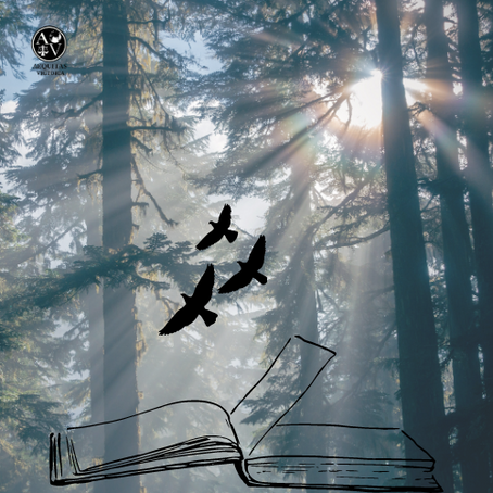 Concerns over the environment in the Char Dham Project have prompted the Supreme Court to appoint