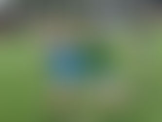 Our wonderful students representing Meath today 