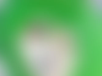 3rd Class School Tour