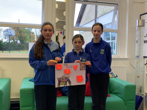 Intel Mini Scientist Project