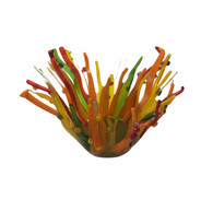 Orange Coral Bowl
