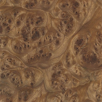 Elm wood at Patrick Sandberg Antiques