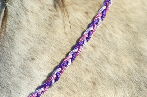 Cordelette en biothane Rose - Taille Cheval | Three Horses Cordelette en biothane Rose - Taille Cheval | Three Horses