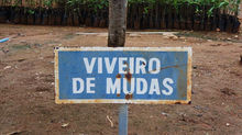 Alunos de Engenharia Florestal farão visita técnica ao Viveiro de Mudas Florestais de Xingó em dezem