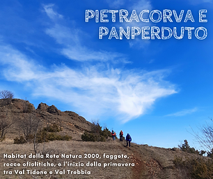 pietracorva