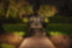 image3.jpeg