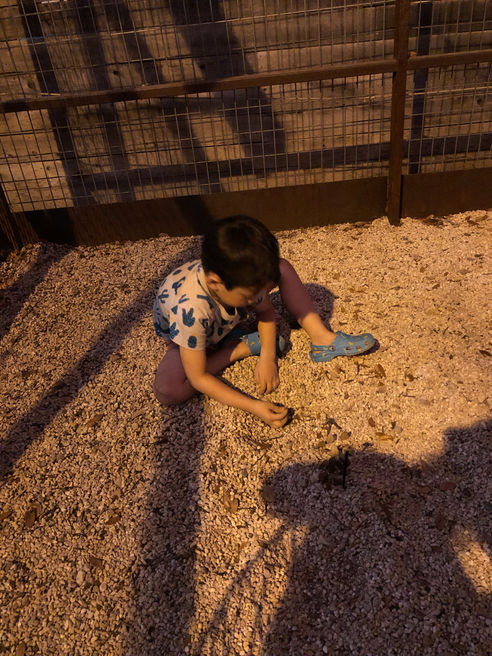 Trip to Austin