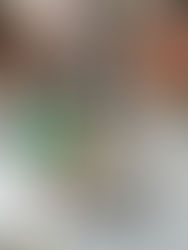 The Titanic Experience & more