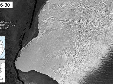 Brunt Ice Shelf: major calving promotes further speed-up