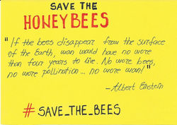 save_the_bees
